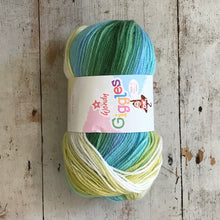 Load image into Gallery viewer, Wendy Giggles DK, 100g