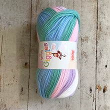 Load image into Gallery viewer, Wendy Giggles DK, 100g