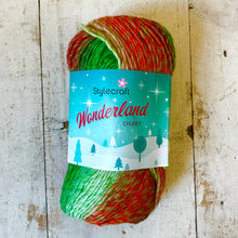 Load image into Gallery viewer, Stylecraft Wonderland Chunky 100g