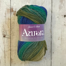 Load image into Gallery viewer, James C. Brett Aurora DK