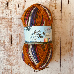 Stylecraft Head Over Heels Sock Yarn 4 Ply, 100g