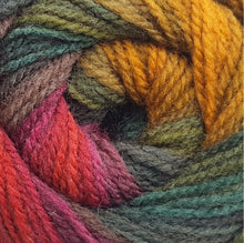 Load image into Gallery viewer, James C. Brett Aurora DK