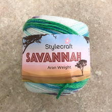 Load image into Gallery viewer, Stylecraft Savannah Aran 100g