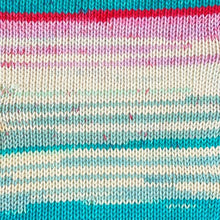 Load image into Gallery viewer, Stylecraft Savannah Aran 100g