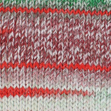 Load image into Gallery viewer, Stylecraft Wonderland Chunky 100g