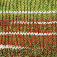 Load image into Gallery viewer, Stylecraft Wonderland Chunky 100g