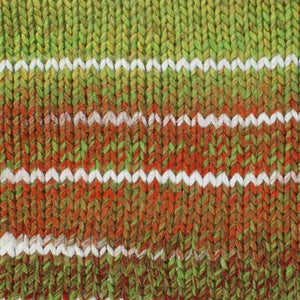 Stylecraft Wonderland Chunky 100g
