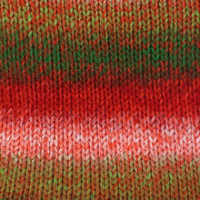 Load image into Gallery viewer, Stylecraft Wonderland Chunky 100g