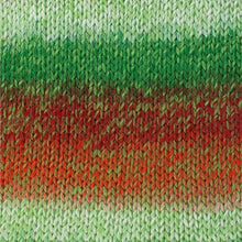 Load image into Gallery viewer, Stylecraft Wonderland Chunky 100g
