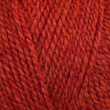 Load image into Gallery viewer, Stylecraft Highland Heather DK