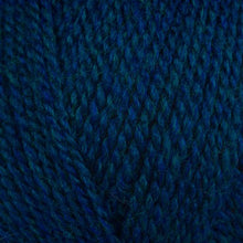 Load image into Gallery viewer, Stylecraft Highland Heather DK