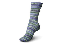 Load image into Gallery viewer, Regia Design Line 4 ply