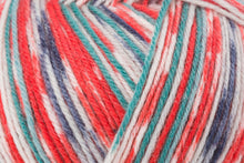 Load image into Gallery viewer, Regia Design Line 4 ply