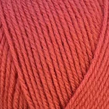 Load image into Gallery viewer, Stylecraft Special DK