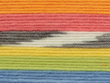 Load image into Gallery viewer, JC Brett Fairground DK