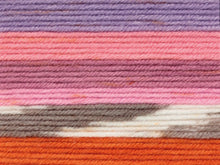 Load image into Gallery viewer, JC Brett Fairground DK