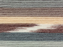 Load image into Gallery viewer, JC Brett Fairground DK