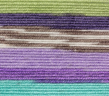 Load image into Gallery viewer, JC Brett Fairground DK