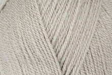 Load image into Gallery viewer, Stylecraft Special DK