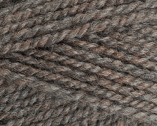 Load image into Gallery viewer, Stylecraft Highland Heather DK