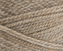 Load image into Gallery viewer, Stylecraft Highland Heather DK