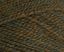 Load image into Gallery viewer, Stylecraft Highland Heather DK
