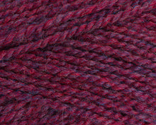 Load image into Gallery viewer, Stylecraft Highland Heather DK