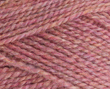 Load image into Gallery viewer, Stylecraft Highland Heather DK