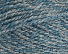 Load image into Gallery viewer, Stylecraft Special DK