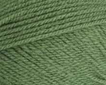 Load image into Gallery viewer, Stylecraft Special DK