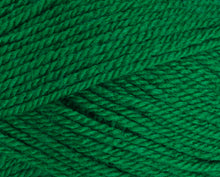 Load image into Gallery viewer, Stylecraft Special DK