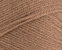 Load image into Gallery viewer, Stylecraft Special DK