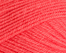 Load image into Gallery viewer, Stylecraft Special DK